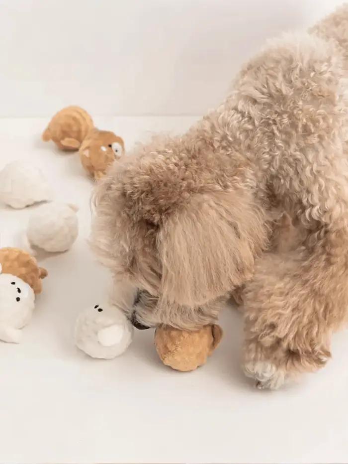 Jouet à mâcher couineur pour chien - Balle rebondissante en forme de chiot avec picots pour le nettoyage des dents, jouet interactif pour animaux de compagnie adapté aux petits chiens (Caniche/Bichon
