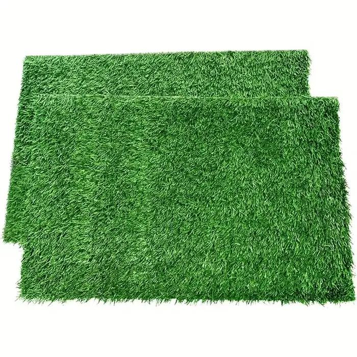 Tapis d'entraînement lavable et réutilisable pour chien