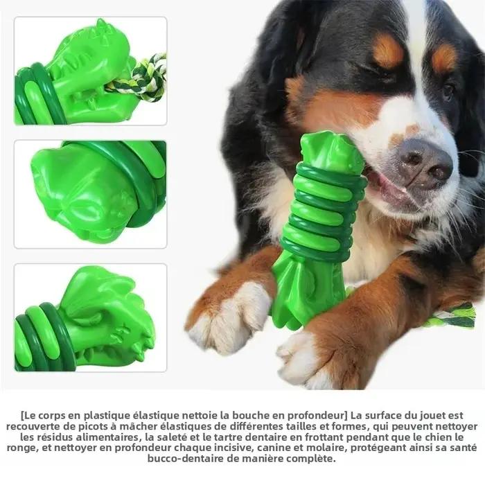 Jouets de jeu pour chiens de petites et moyennes tailles - balles grinçantes Gigwi pour divertissement et activité physique - diverses couleurs disponibles