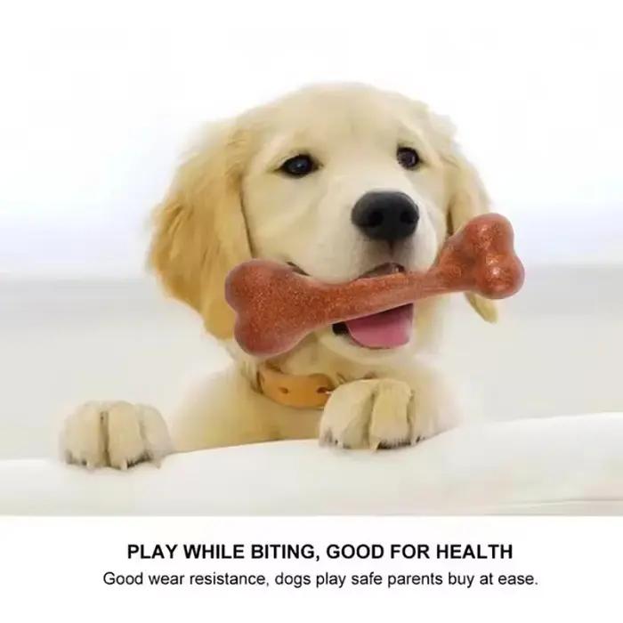 Jouets à mâcher en os de chien presque indestructibles