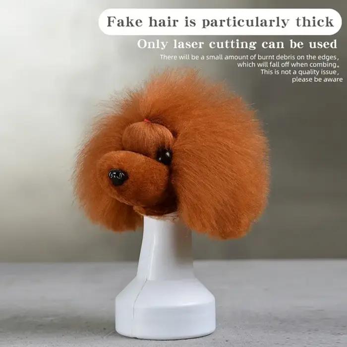 Tête de chien factice pour coiffure et toilettage animalier, modèle Teddy, pour pratique et formation coiffeurs et étudiants en coiffure animale