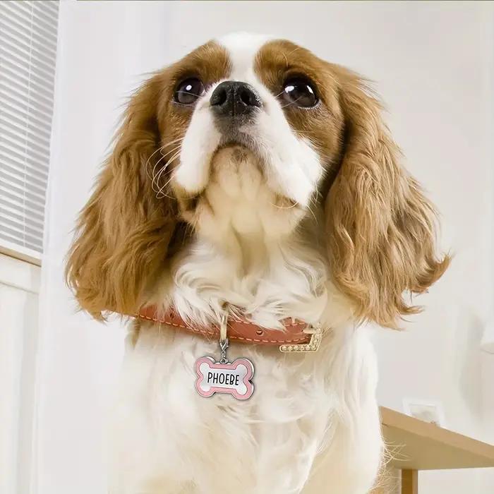 1PC Plaque d'identification personnalisée pour animaux de compagnie