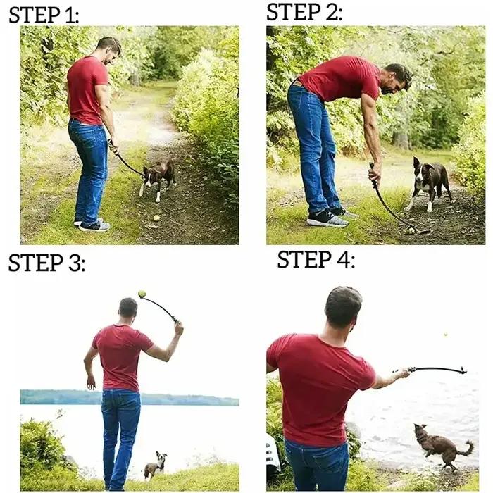Ensemble de lanceurs de balles de Tennis pour animaux de compagnie, jouet d'entraînement en plein air pour chiens, jeu de secours, poignée ergonomique Durable, cueillette de balles interactive, fourni
