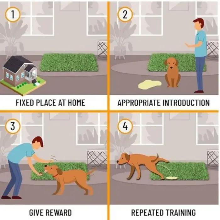 Tapis d'herbe artificielle lavable ultime pour chien