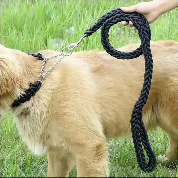 Grande laisse pour chien