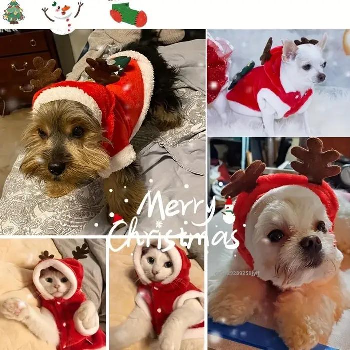 Costume de noël pour chien