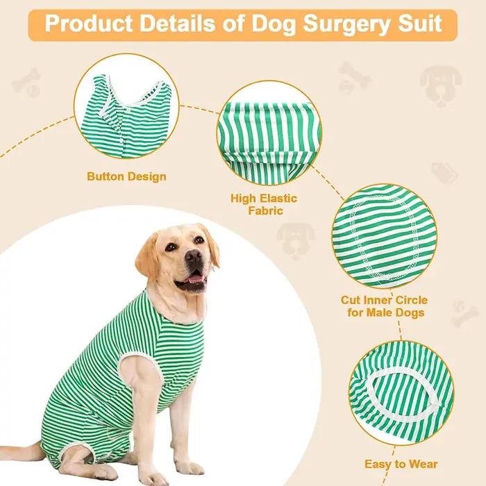 Combinaison de récupération pour chien pour après chirurgie