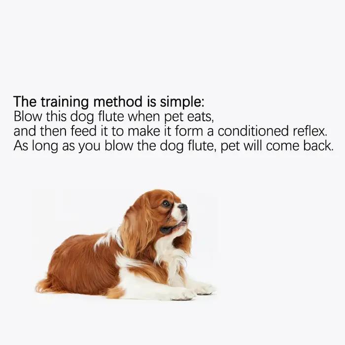 Sifflet ultrasonique pour chien 2025