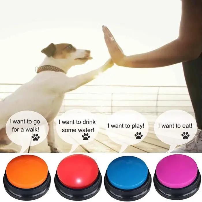 Jouets pour animaux de compagnie