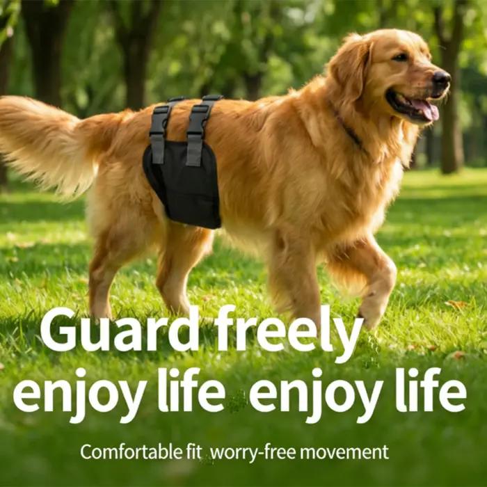 Culottes Physiologiques pour Chiens Mâles Respirantes Universelles pour Teddy et Golden Retriever Occasions Spéciales Libération et Hygiène