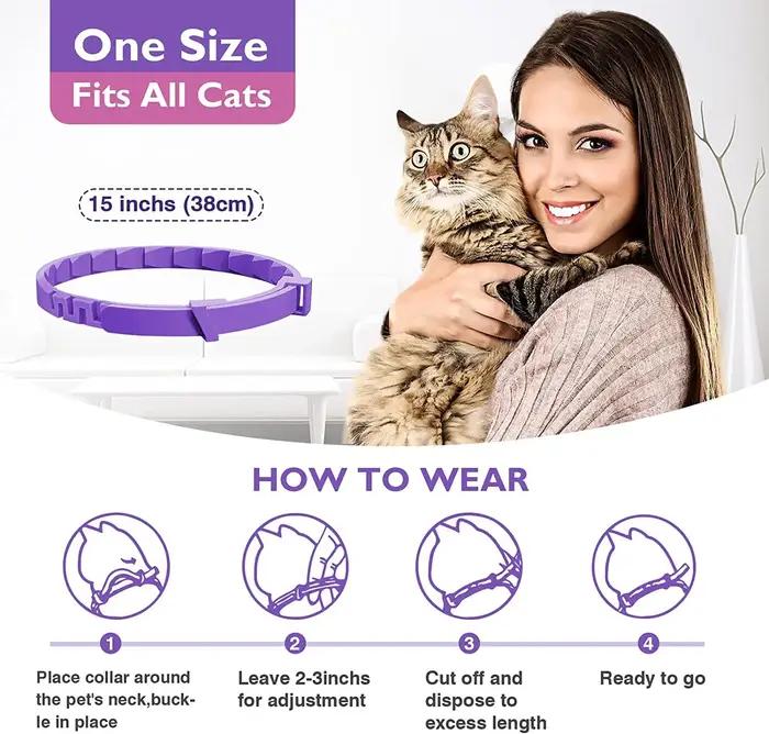 Lot de 3 chats et chiens pour animaux de compagnie