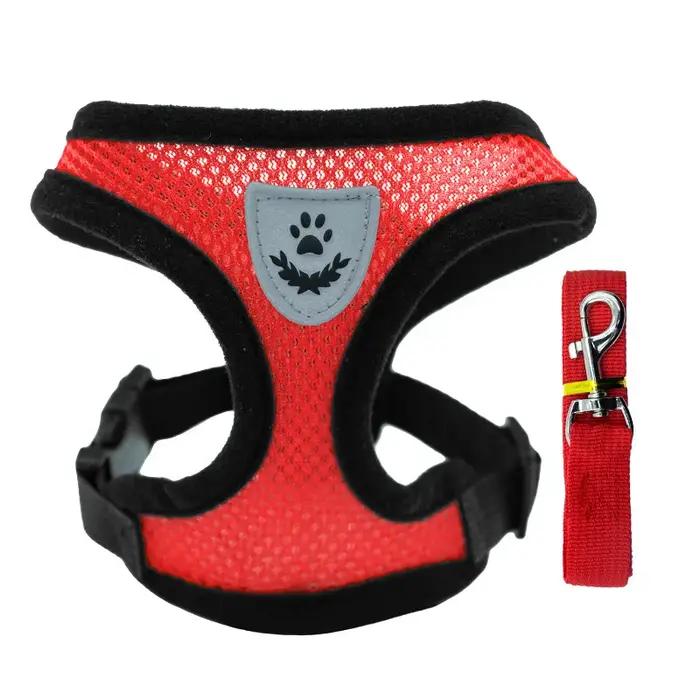 Harnais et laisse pour petit chien et chat en maille respirante, harnais pour chaton, petit chien, c