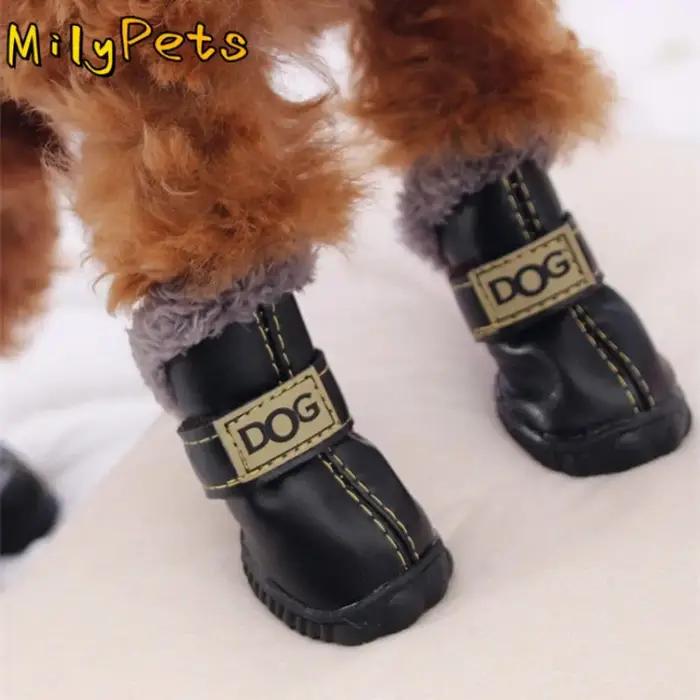 Chaussures de pluie pour chien
