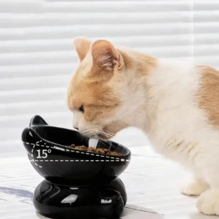 Bol en céramique mignon pour chat et chien avec pieds surélevés