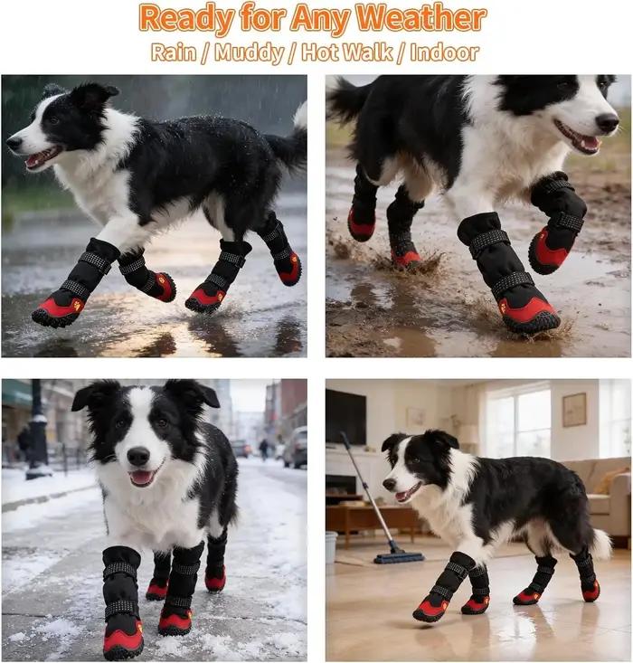 Bottes pour chien pour la neige et la randonnée