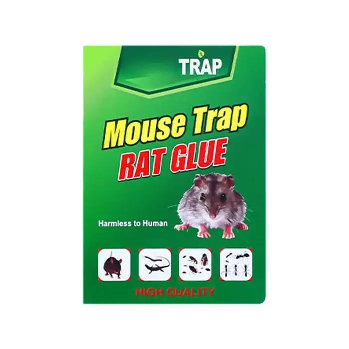 Pièges à souris adhésifs Super puissants