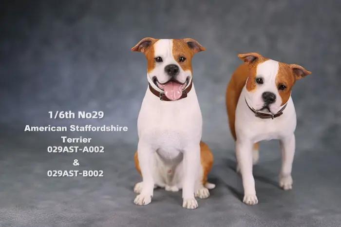 JXK Studio 1:6 Figurine de chien American Staffordshire Terrier