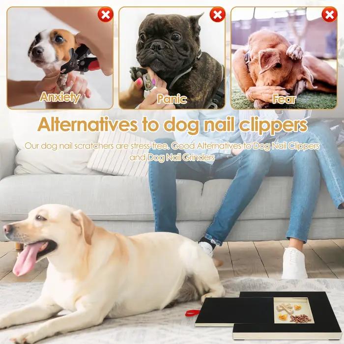 Tampon à gratter pour chien