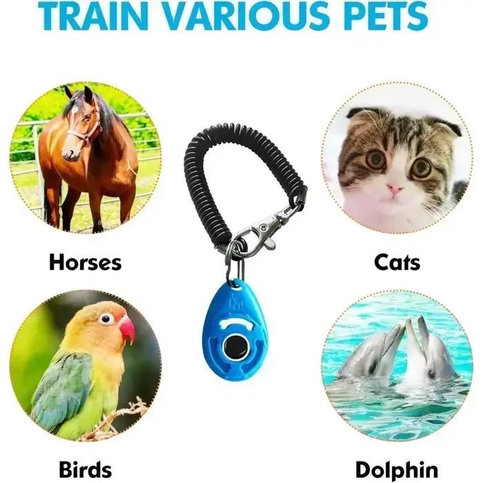 Clicker d'entraînement pour chiens