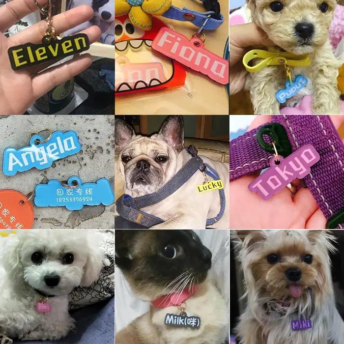 Étiquette personnalisée en acrylique pour chien