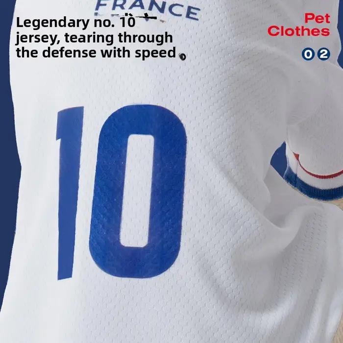 Vêtements pour animaux de compagnie de l'équipe de football française, t-shirt respirant pour chiens, vêtements décontractés pour chiots, pour l'entraînement en plein air, la promenade, accessoires po