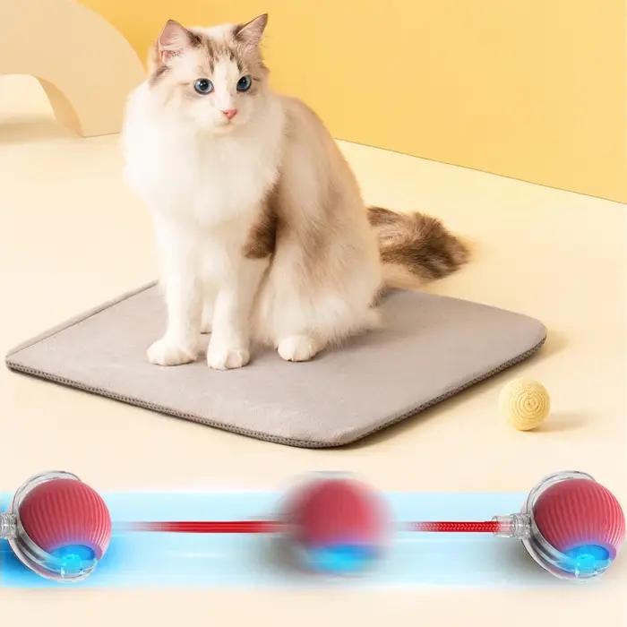 Entraînement pour chiens et chats pour imiter les rats
