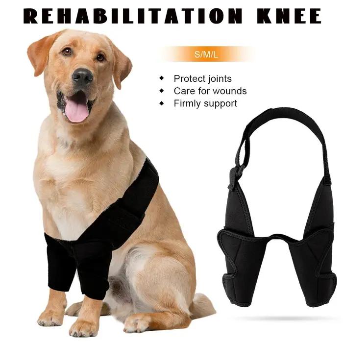Attelle de protection complète pour coude de chien