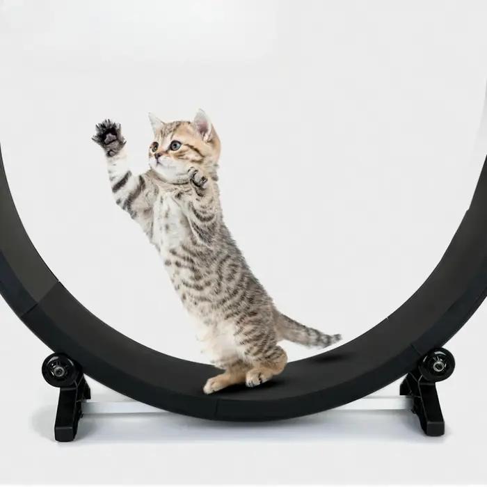Tapis de course silencieux multifonctionnel pour animaux de compagnie