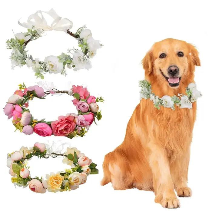 Collier de chien à fleurs élégant et réglable
