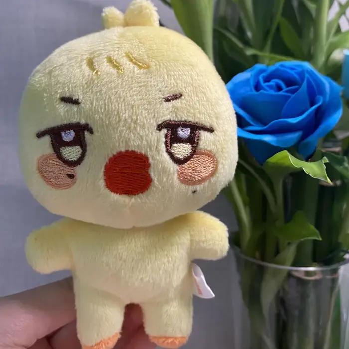 Animaux en peluche Kawaii Kpop Aniteez
