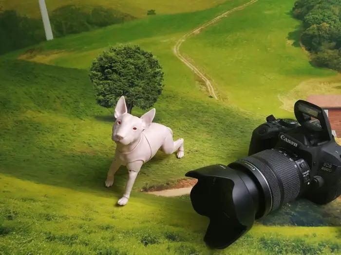 Bull chien chiot 1/6 points bjd poupée
