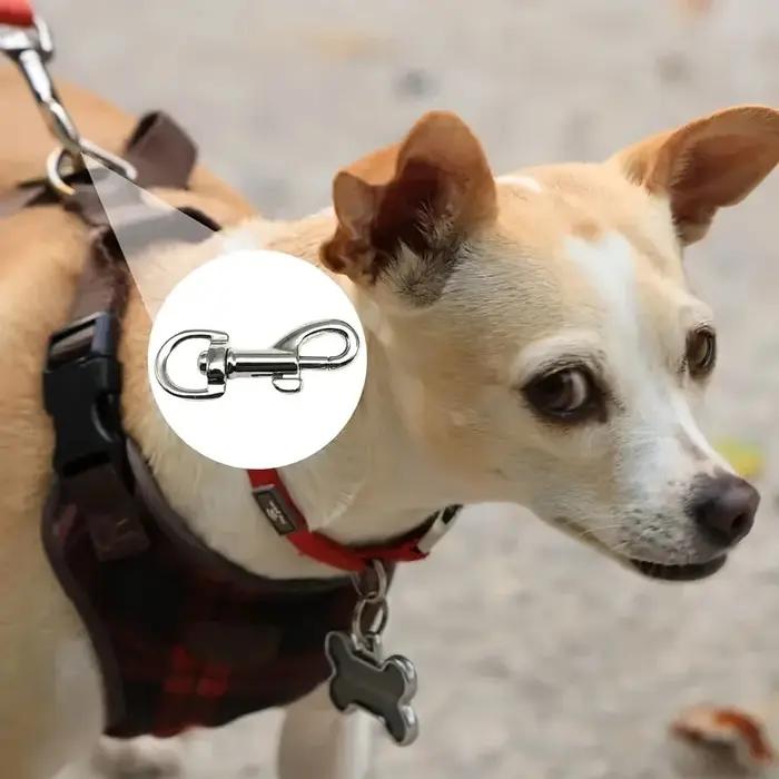 Lot de 10 accessoires pour animaux de compagnie avec une laisse pour chien en alliage métallique conçue pour les diamètres intérieurs de 1 à 2,5 cm, sans batterie