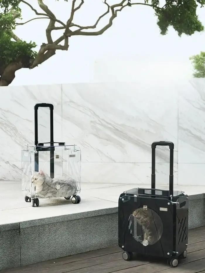 Chariot de voyage transparent pour animaux de compagnie