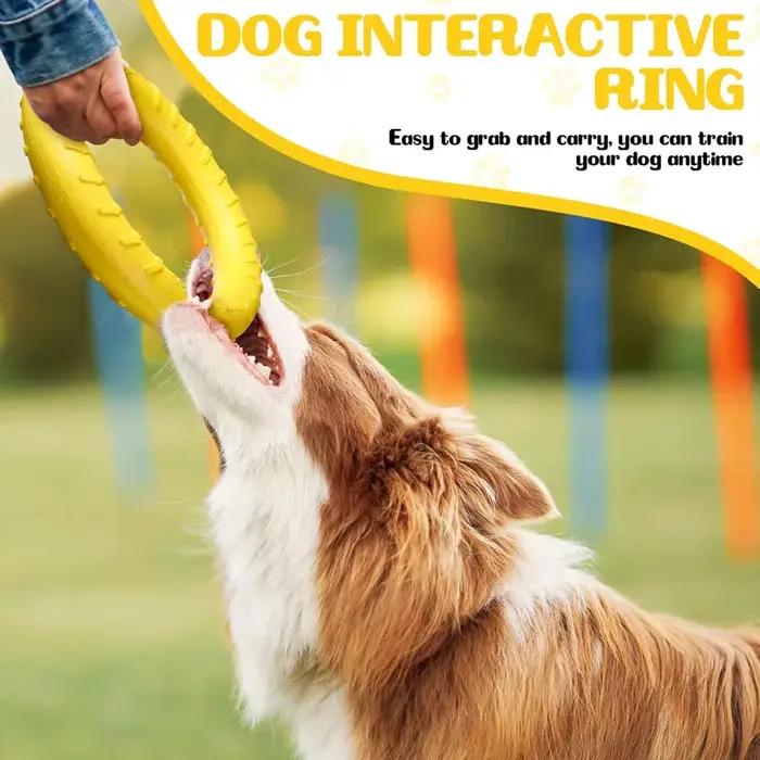 ChFukFlying-Anneau flottant pour chien