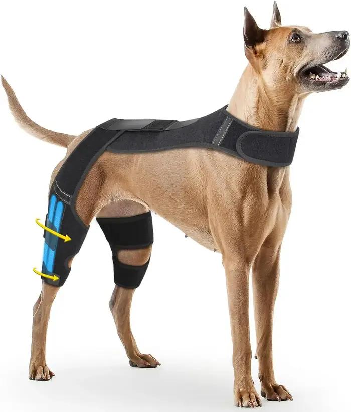 Attelles de genou pour chien pour pattes arrière