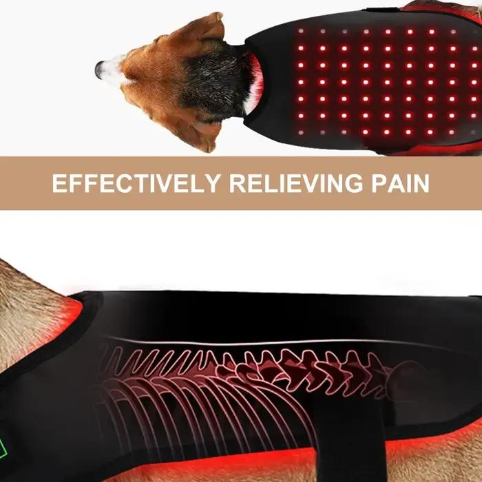 Appareil de physiothérapie à LED à lumière rouge pour animaux de compagnie