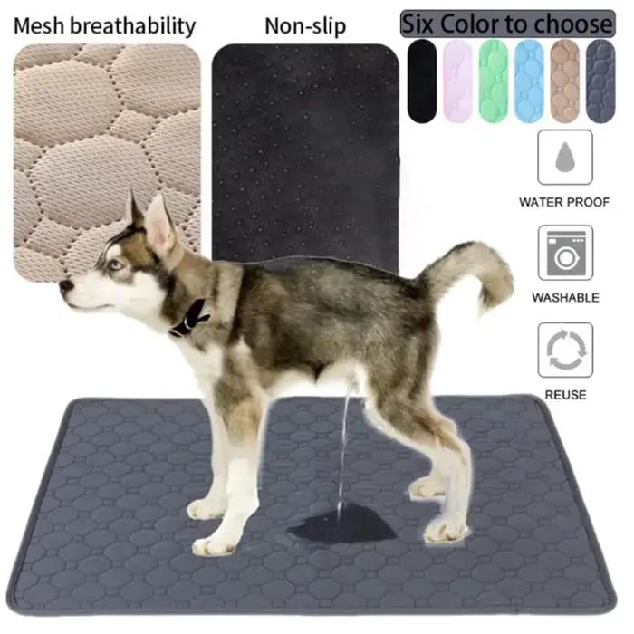 Tapis absorbant réutilisable et lavable pour chien