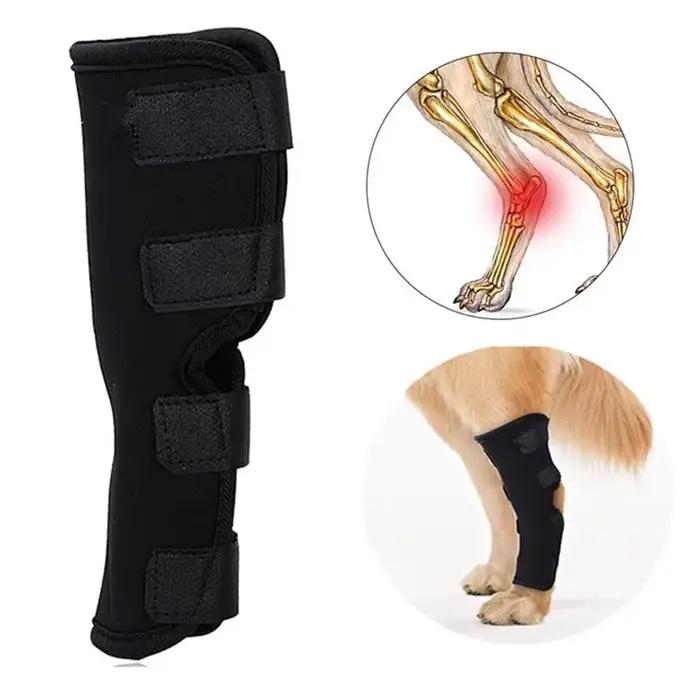 Genouillères de protection de coude pour chien