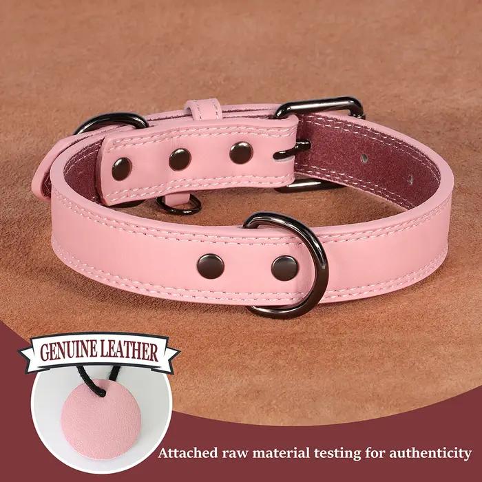 Collier de chien en cuir véritable souple et Durable