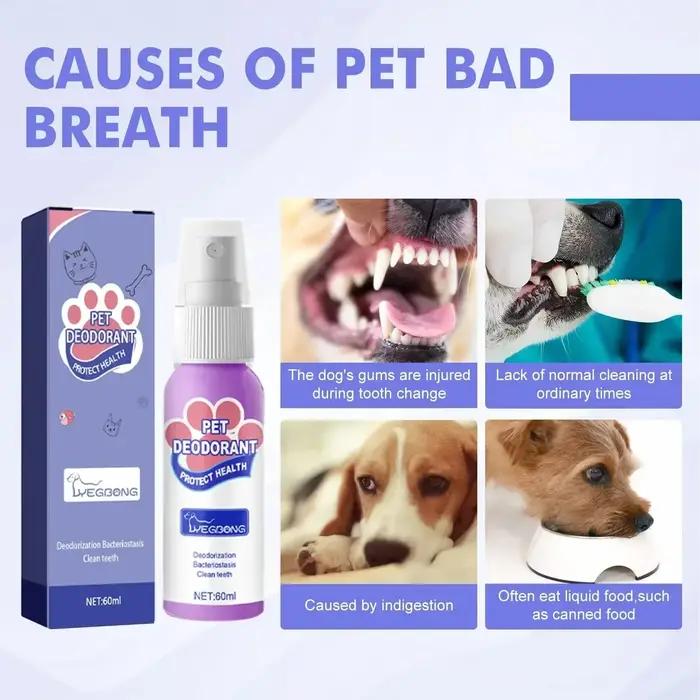 Spray dentaire portable pour animaux de compagnie