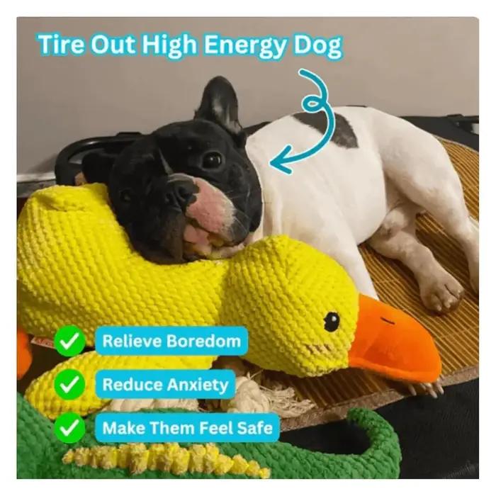 Jouet en peluche canard endormi pour chiens, stimulation auditive et tactile, résistance aux morsures, massages des gencives, détente et bien-être pour petits et grands chiens