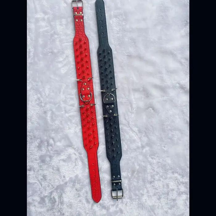 Collier robuste en cuir pour chiens de grande et moyenne taille, avec rivets dominateurs, protection anti-morsure pour randonnées et balades quotidiennes