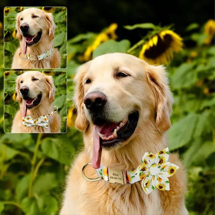 Collier de chien personnalisé imprimé pour fille avec nœud papillon floral