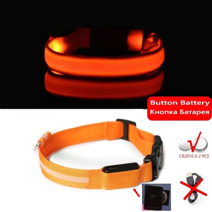 Collier Lumineux pour Chien avec Lumières LED pour Sécurité Nocturne et Style Unisexe Adapté aux Chiens et Chats Occasions Spéciales