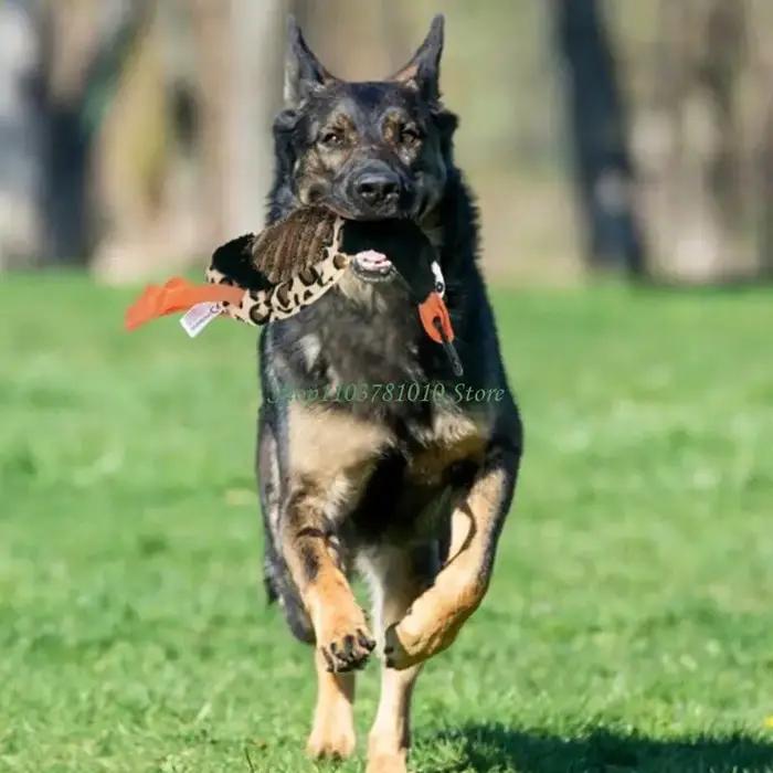 U55D – jouet pour chien