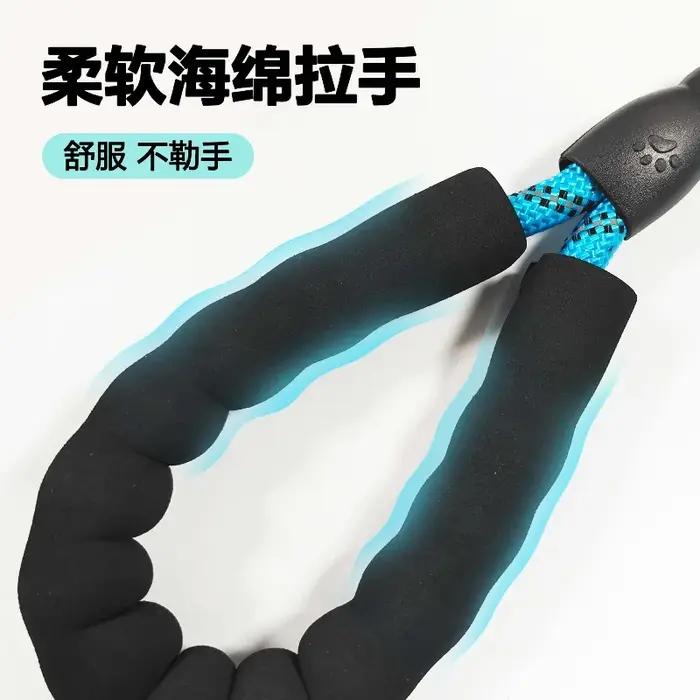 Laisse pour chien, laisse pour chien qui brille la nuit en extérieur