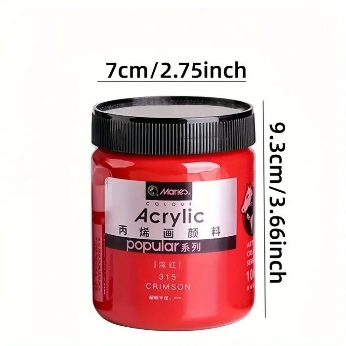 Peinture acrylique 300ml pour mur art vêtements peints à la main bricolage chaussures peintes à la main usage intérieur occasions spéciales