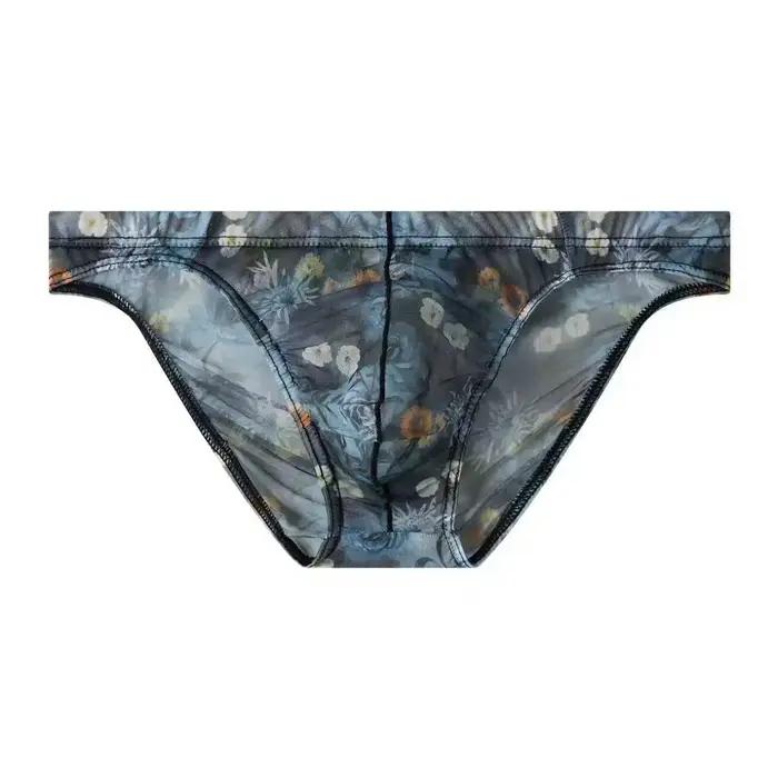 Sous-vêtements pour hommes en maille ultra-fine, imprimés, transparents, sexy avec poche en U, taille basse, confortables et respirants, polyesters et élasthanne, pour toutes les saisons