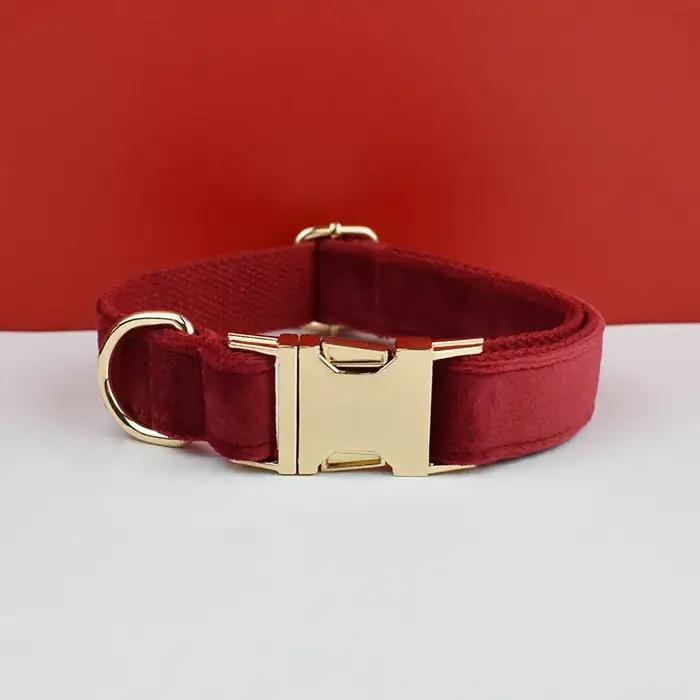 Collier en velours pour chien, graver gratuitement, pour moyens et grands animaux de compagnie, acce