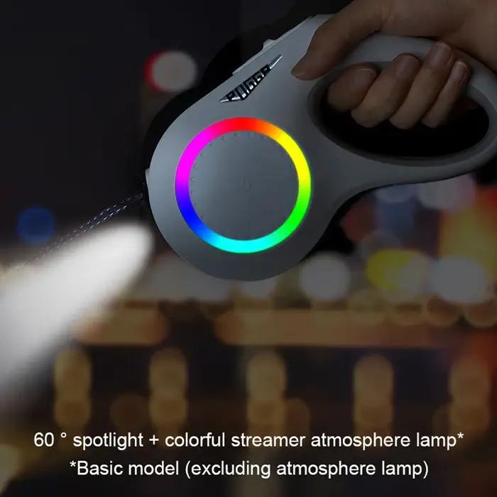 Lampe LED Laisse pour chien Auto Scaling Dog Walking Pet Accessories USB Charge Night